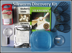 Discovery Silkworm Kit