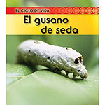 Life Cycle of a Silkworms