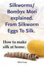 silkworm book