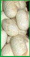 silkworm cocoon